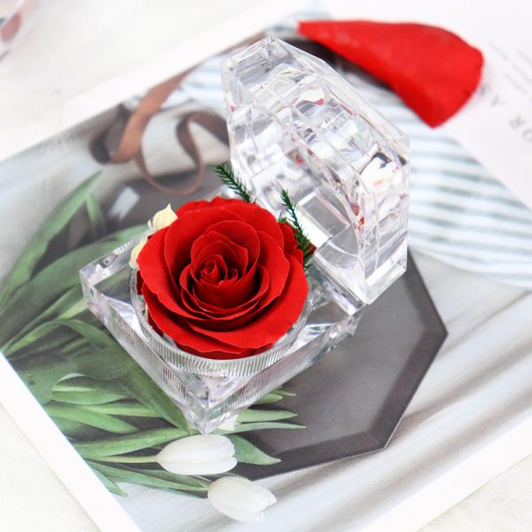 Presertive Rose